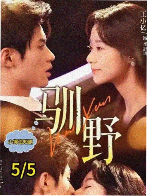 图鉴二：夜色中亮着灯的加油站与孤零路牌